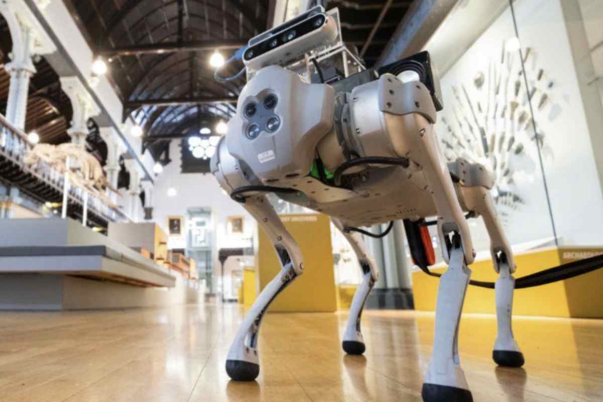 Non è più un’ipotesi da laboratorio: un gruppo di ricercatori ha sviluppato un cane guida robotico capace di interagire con l’utente