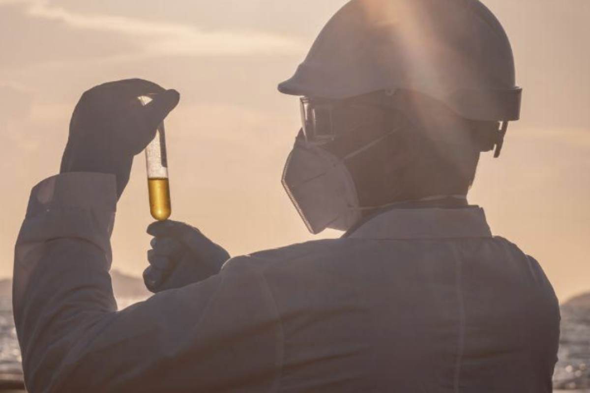 Non si tratta quindi di analisi tradizionali, ma di una vera e propria lettura del DNA ambientale, capace di ricostruire cosa è passato da quel tratto di mare.